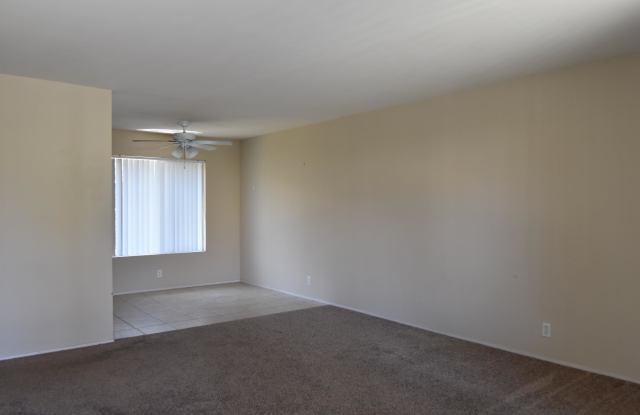 253 Tamarack Avenue - F Gallery 2