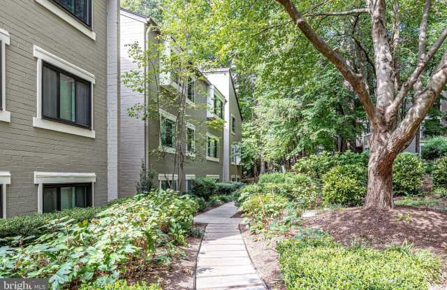 2210 SPRINGWOOD Drive Gallery 3