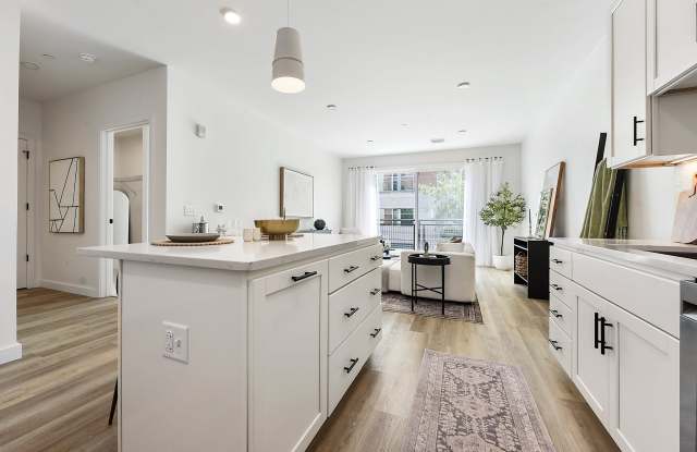 North Shore Flats Gallery 4
