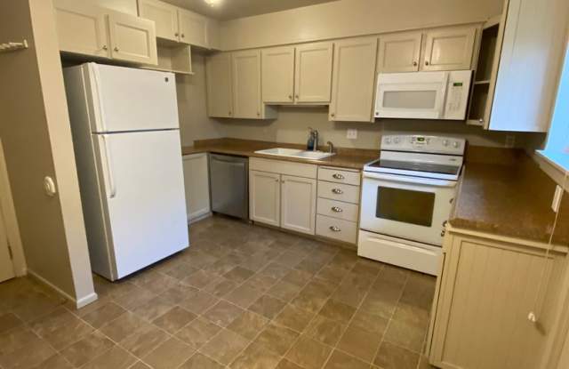 55+ Community Gallery 4