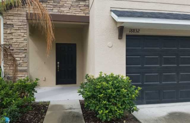 18832 Hampstead Ct - 18832 Hampstead Heath Ct, Pasco County, FL 34638