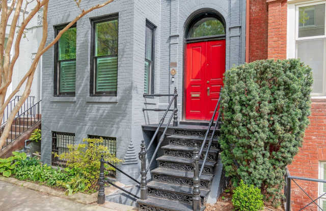 Private Renovated English Basement w/Shared Patio Steps to Dupont photos photos