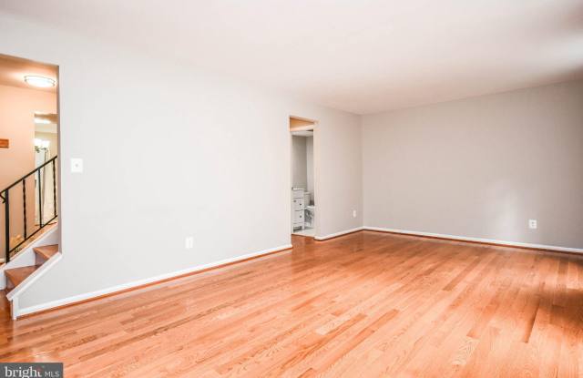 10036 MAPLE LEAF Gallery 4