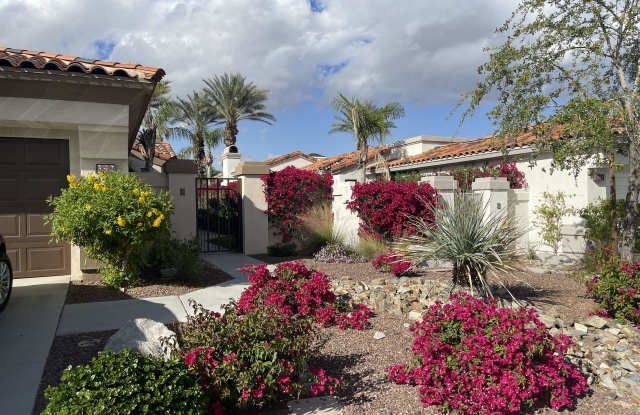 392 Desert Holly Drive Gallery 4