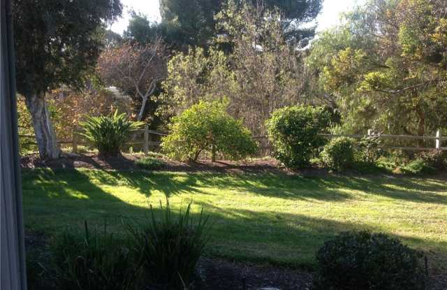 3293 San Amadeo Gallery 4
