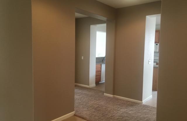 COMING SOON! Single Story 4 Bed in Curti Ranch Gallery 3