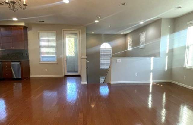 48970 Lady Fern Common Gallery 3
