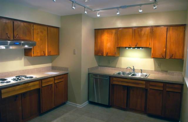1705 Hatteras Drive Gallery 3