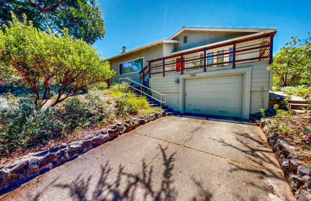 Beautiful Two Bedroom One Bath Close to Spring Lake & Annadel State Park Gallery 4