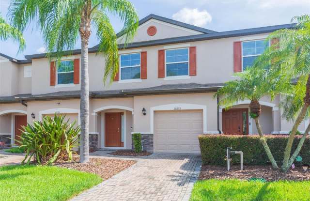 26913 JUNIPER BAY DRIVE - 26913 Juniper Bay Drive, Wesley Chapel, FL 33544