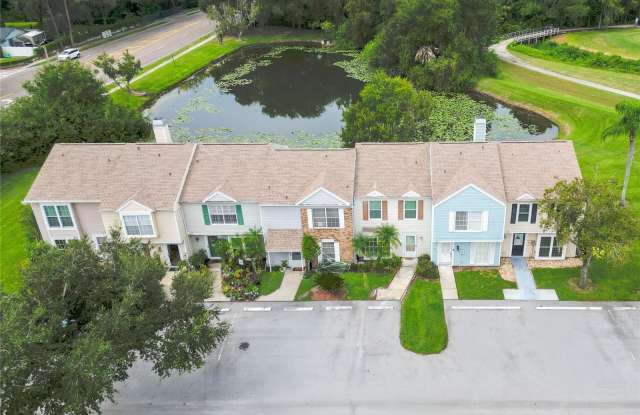 16110 RAMBLING VINE DR W Gallery 4
