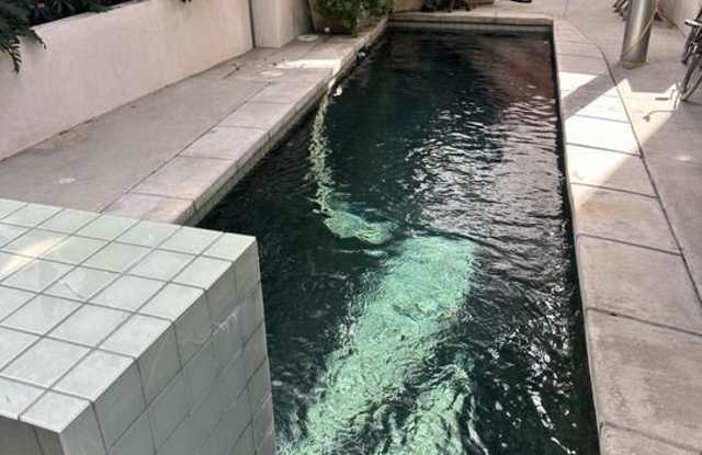 2454 Penmar Gallery 3