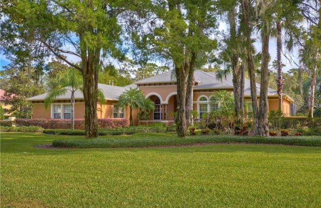 17207 JOURNEYS END DRIVE - 17207 Journeys End Drive, Keystone, FL 33556