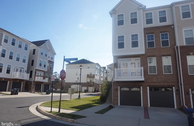 42281 CANARY GRASS SQUARE - 42281 Canary Grass Square, Stone Ridge, VA 20105