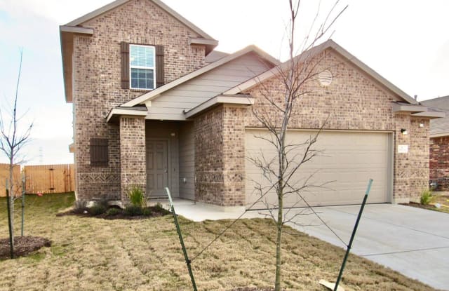 16905 Borromeo Ave. - 16905 Borromeo Ave, Pflugerville, TX 78660