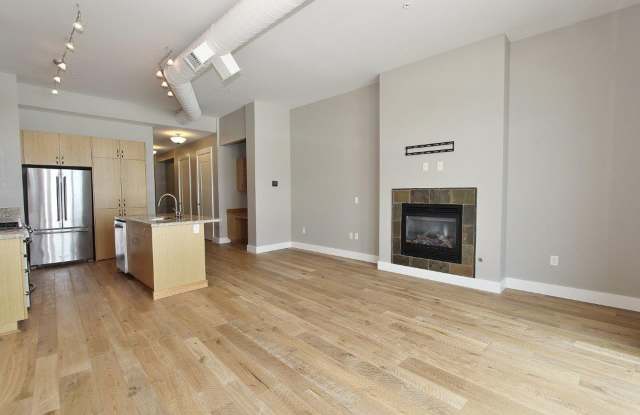 Beautiful Condo in Downtown Boise Gallery 4