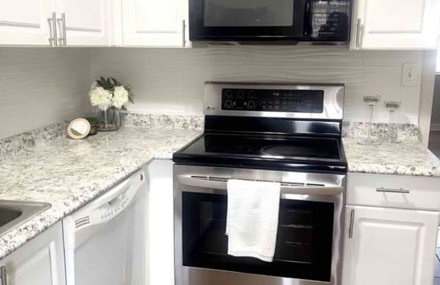 324 Oak Rose Ln - 324 Oak Rose Lane, Lake Magdalene, FL 33612