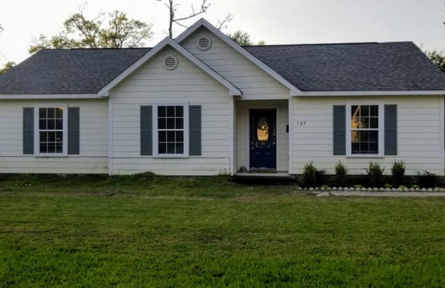 125 Seaman Drive - 125 Seaman Drive, Silsbee, TX 77656