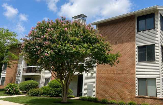 1110 Castle Harbour Way photos photos