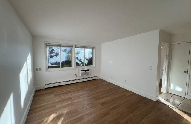 1 Bedroom 1 Bathroom Condo Unit in Lowry Hill East Gallery 1