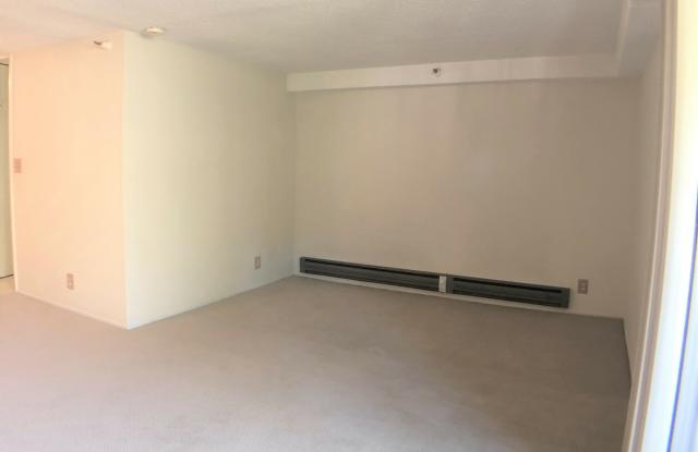 5332 Shelter Creek Lane Gallery 4
