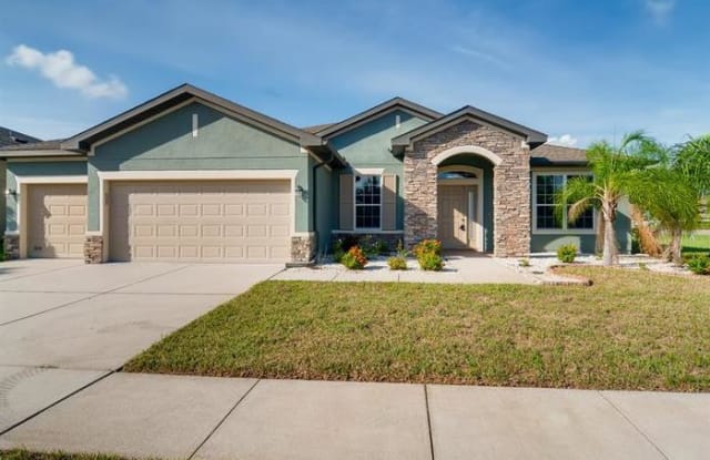 11705 Newberry Grove Loop - 11705 Newberry Grove Loop, Riverview, FL 33579