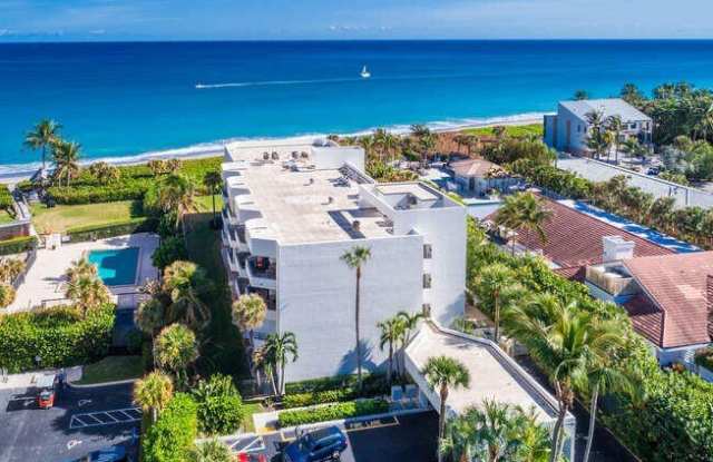 420 Celestial Way unit: 101 photos photos