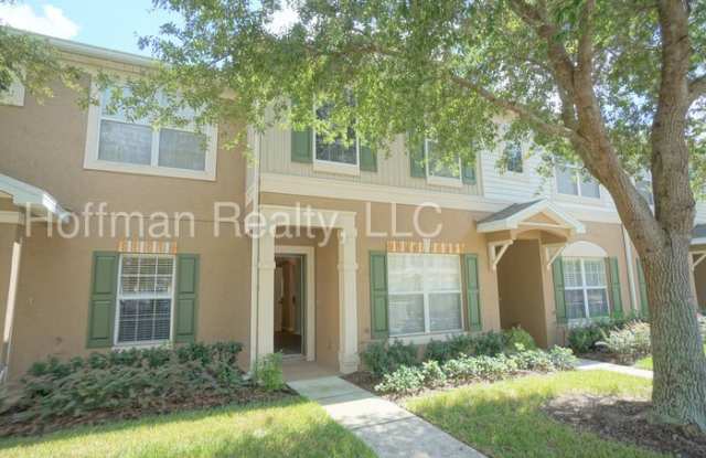 12316 Healey Summit Lane - 12316 Healey Summit Lane, Riverview, FL 33579
