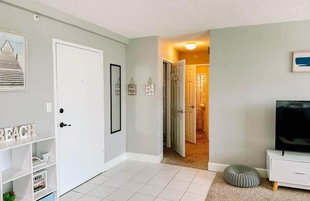 ***$299 OFF Summer Special*** Gorgeous 1-Bedroom, 1-Bathroom Condo in St. Petersburg Gallery 3