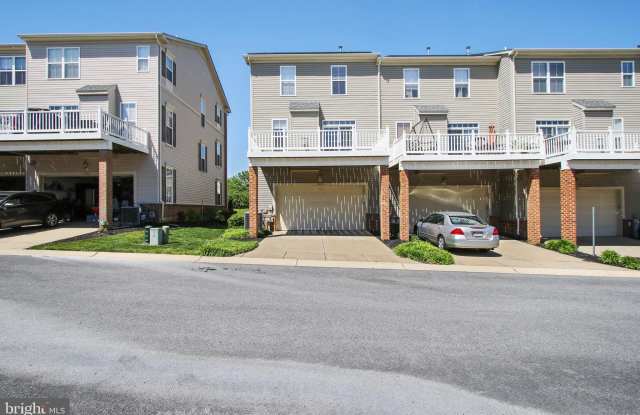 1010 VERDIGRIS WAY Gallery 3