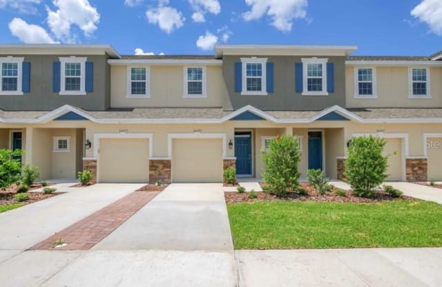 1073 AMBER LEAF TRAIL - 1073 Amber Leaf Trl, Wesley Chapel, FL 33544