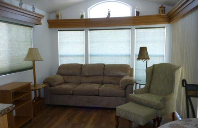 55+ Community Gallery 3