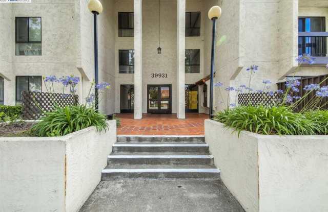 Spacious, Beautiful & Bright 1BED/1BATH for Rent in a Gated Property in Newark, Ca.!! Gallery 1