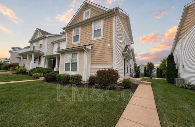213 Countryshire Gallery 2