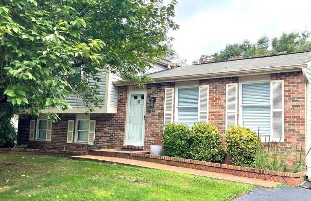 3006 SUMMERSHADE Court Gallery 2