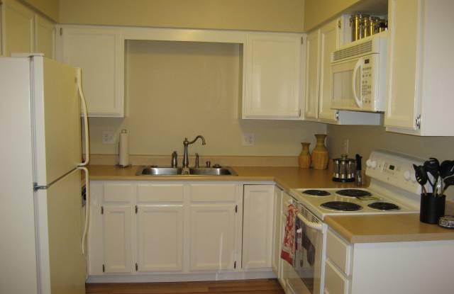 407 Jeffrey Ln Gallery 2
