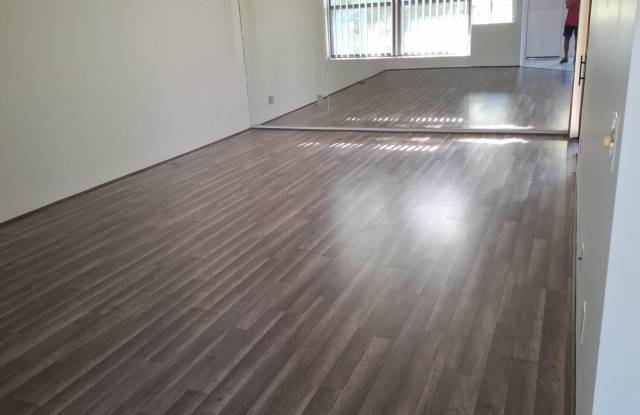 173 SARITA Court Gallery 3