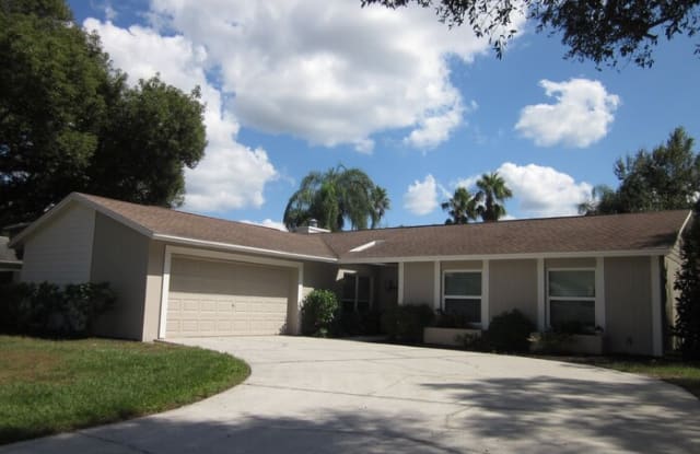 16413 Bonneville Drive - 16413 Bonneville Drive, Northdale, FL 33624