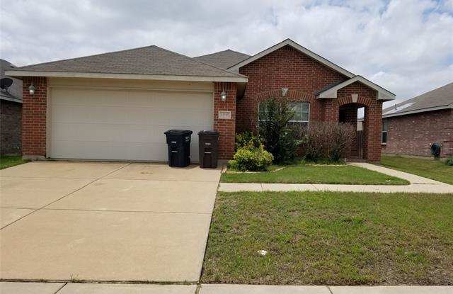 12737 Northern Pine Drive - 12737 Northern Pine Drive, Fort Worth, TX 76244