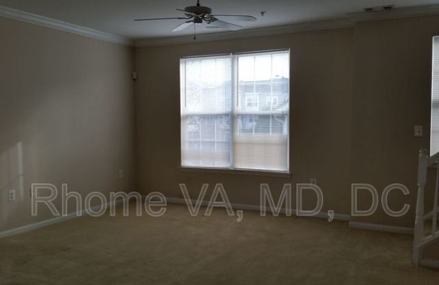 21792 Dragon's Green Square Gallery 4
