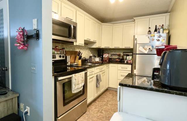 172 River Street - A4 - 172 River Street, Waltham, MA 02453