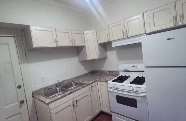 226 S 4th Street unit: 226 - 226 South 4th Street, Aurora, IL 60505