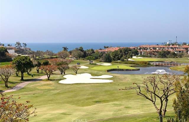 27 Via Monarca Street - 27 Via Monarca Street, Dana Point, CA 92629