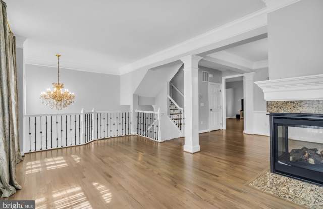 25241 BEACH Place Gallery 3
