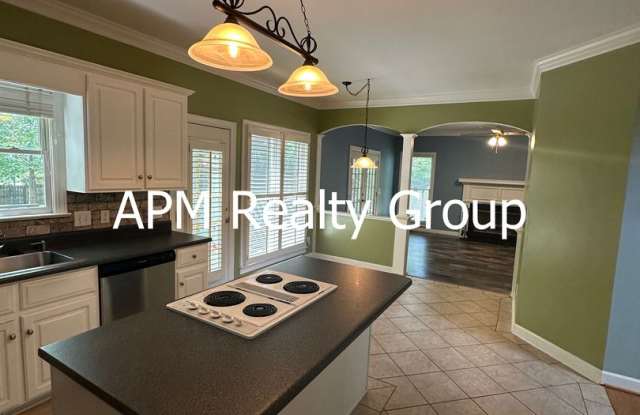 4 Bedroom Chapin Schools Gallery 3