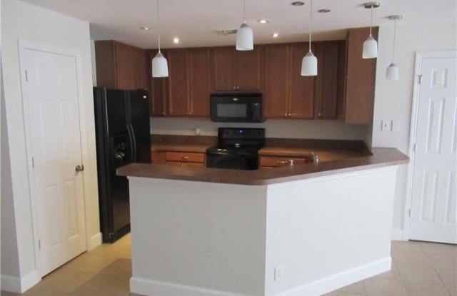 15130 Piping Plover CT Gallery 2