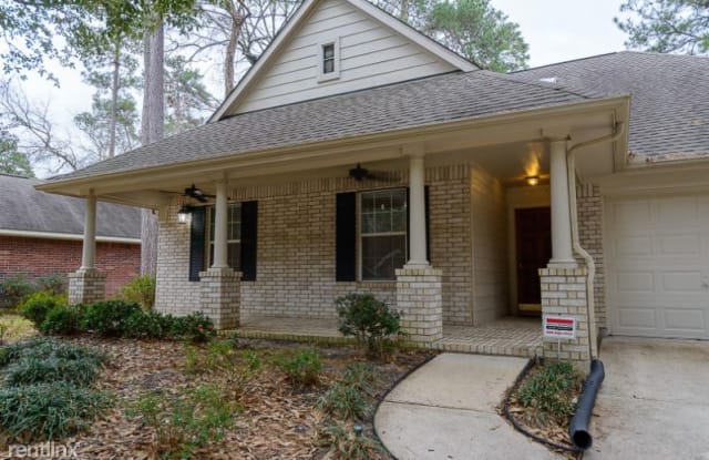 19 Wild Orchid Ct - 19 Wild Orchid Court, The Woodlands, TX 77385