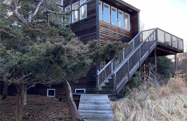 42 Evergreen photos photos 42 Evergreen photos photos