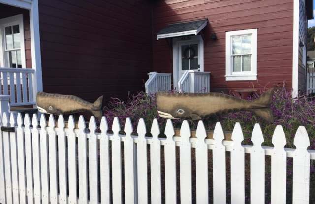 45018 Ukiah Street Gallery 3