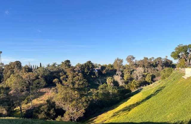 Shh....Clairemont's Best kept SECRET! photos photos